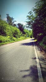 Empty road along trees and plants in city