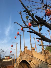 Low angle view of red lanterns hanging against blue sky