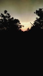 Silhouette trees against sky at sunset