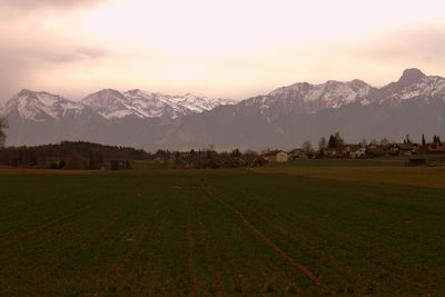 Scenic view of field and mountains against sky