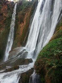 Scenic view of waterfall in forest