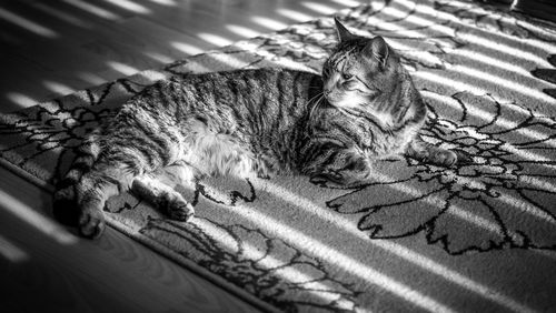 High angle view of cat relaxing on bed at home