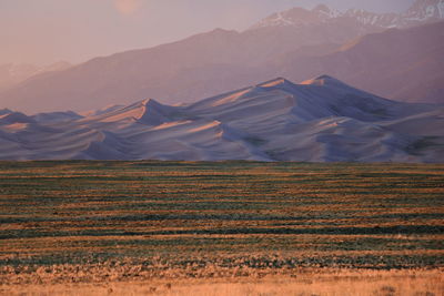 View of a desert