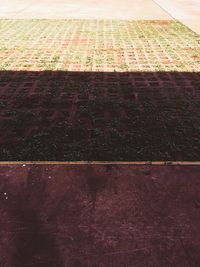View of field