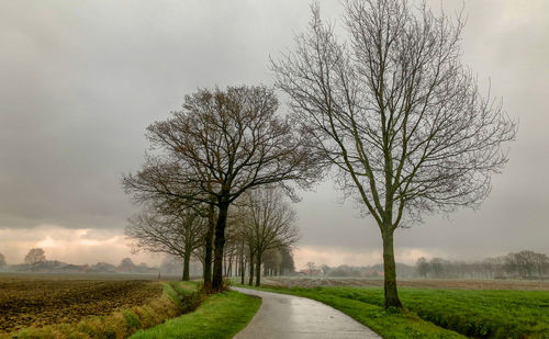 Bare tree on field by road against sky