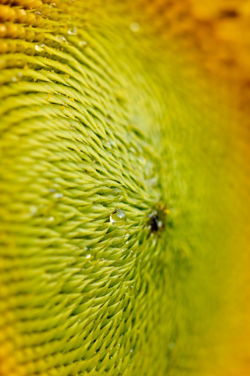 FULL FRAME SHOT OF YELLOW WATER IN A