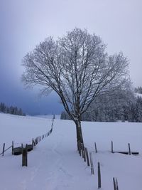 Scenic view of snow covered landscape