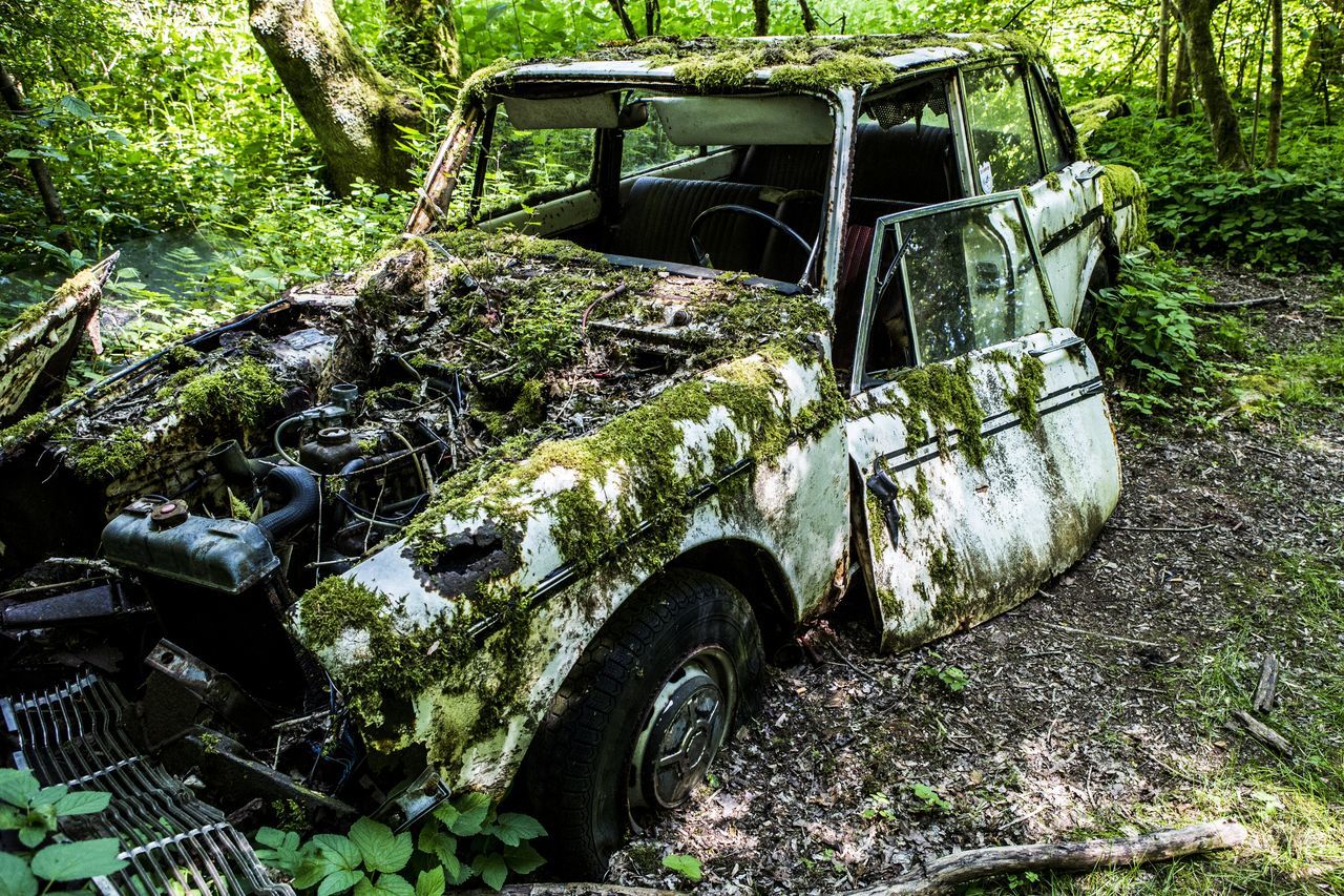 abandoned, transportation, damaged, mode of transportation, plant, tree, run-down, obsolete, land vehicle, land, day, deterioration, nature, decline, motor vehicle, forest, old, bad condition, no people, field, ruined, outdoors, wheel, demolished