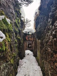 Road amidst buildings during winter
