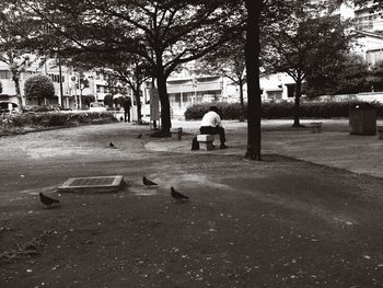 Road along buildings
