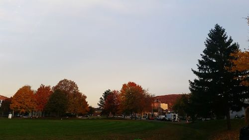 View of trees against clear sky