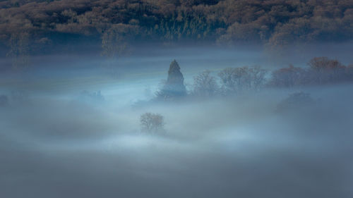 High angle view of trees against fog