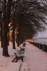 Empty bench in park during winter