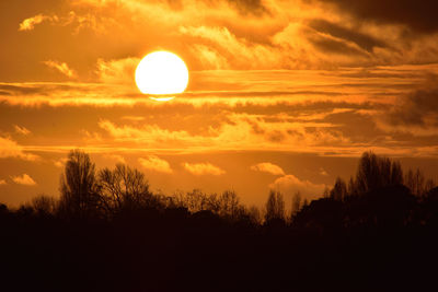 Silhouette trees against sky during sunset