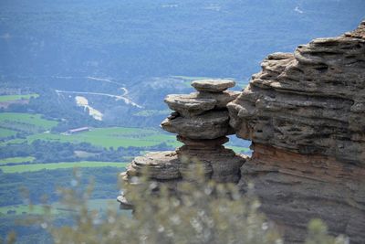 Close-up of tree trunk against sky