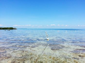 Scenic view of calm sea against clear sky