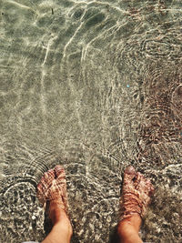 Low section of person standing on beach