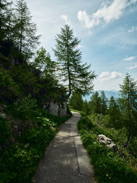 Walking path down the kehlstein hill in germany