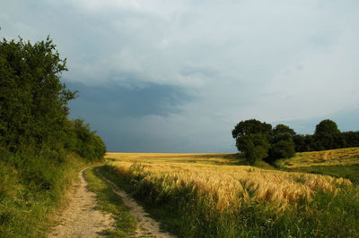 Scenic view of field against sky