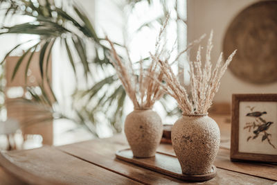 Close-up of potted plant on table