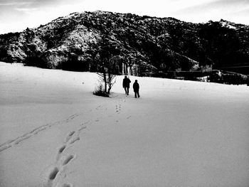 Tourists on snow covered mountain