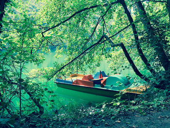 Pedal boat moored at lakeshore in forest