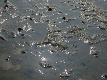 Full frame shot of water on beach