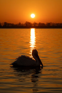 Scenic view of lake during sunset