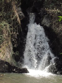 Scenic view of waterfall in forest