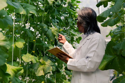 Side view of scientist examining plants at farm