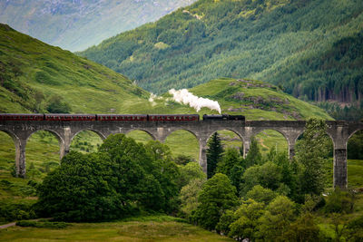 Train crossing viaduct by mountains