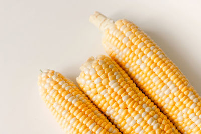 Close-up of corn against white background