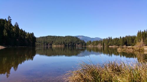 Scenic view of lake by trees against clear sky