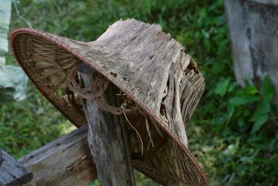 High angle view of wooden post on tree trunk