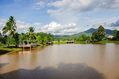 Scenic view of palm trees by mountains against sky