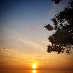 Silhouette tree against sky during sunset