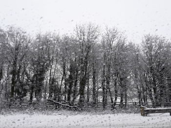 Bare trees on snow covered field against sky