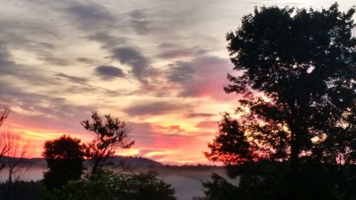 Silhouette trees against sky during sunset