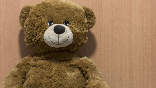 Close-up of stuffed toy against gray background