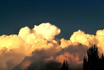 Low angle view of trees against sky