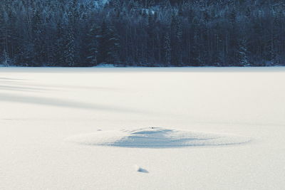 Snow covered landscape