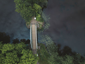 High angle view of plants and trees against sky