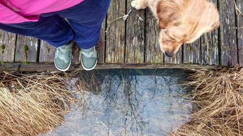Low section of man with dog in water