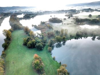 High angle view of trees on shore