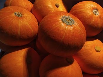 High angle view of pumpkins in market