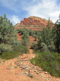 Low angle view of right trail to rock formations