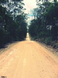 Road amidst trees in forest