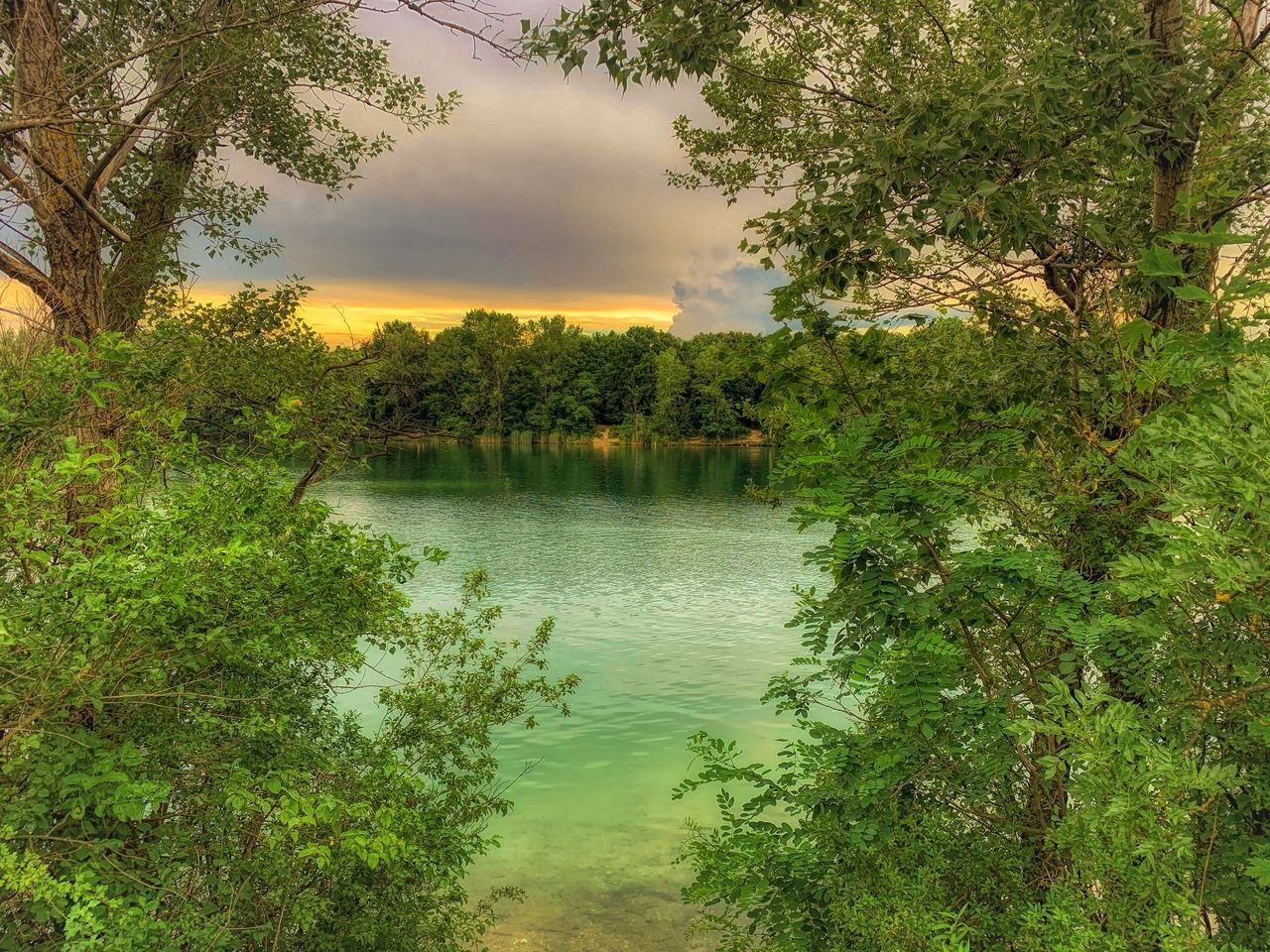 SCENIC VIEW OF LAKE AGAINST SKY IN FOREST