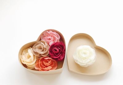 High angle view of roses against white background