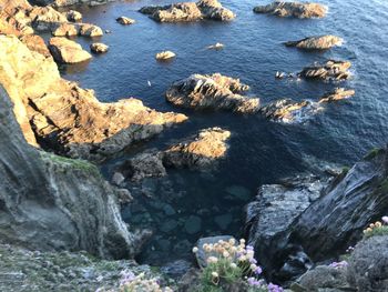 High angle view of rocks at sea shore